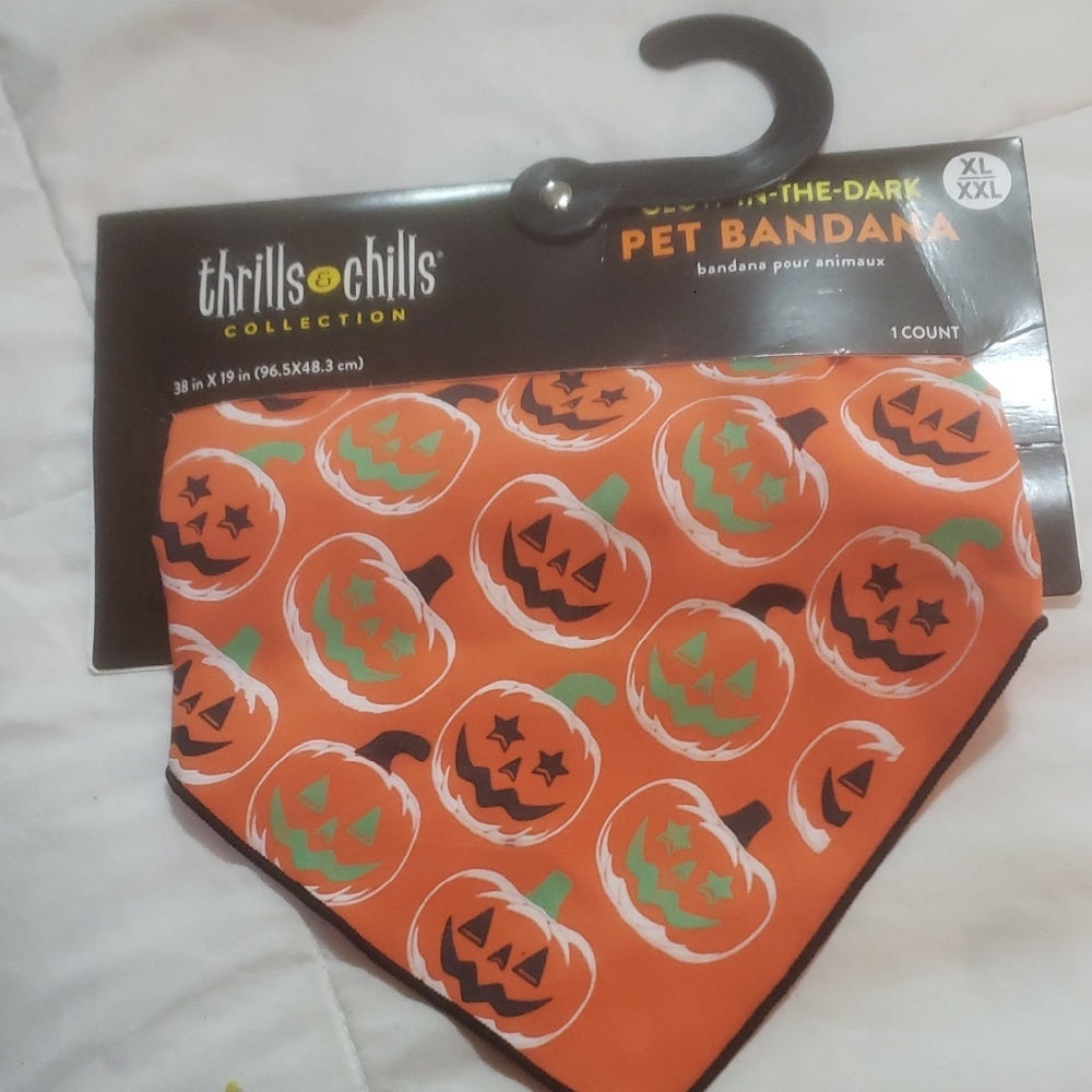 Thrills & Chills Glow-in-the-Dark Pumpkin Pet Bandana